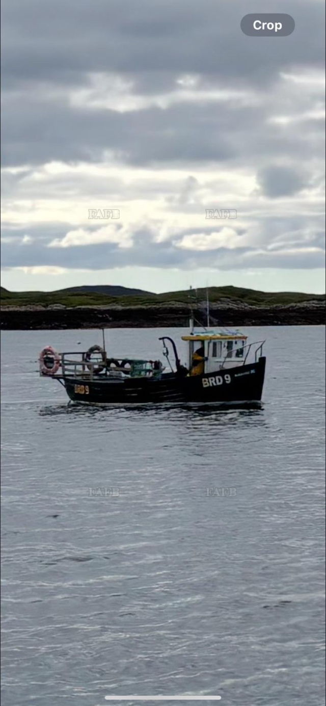 Large picture for advert 147897