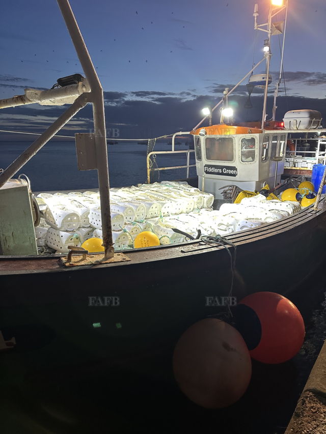 Large picture for advert 142898