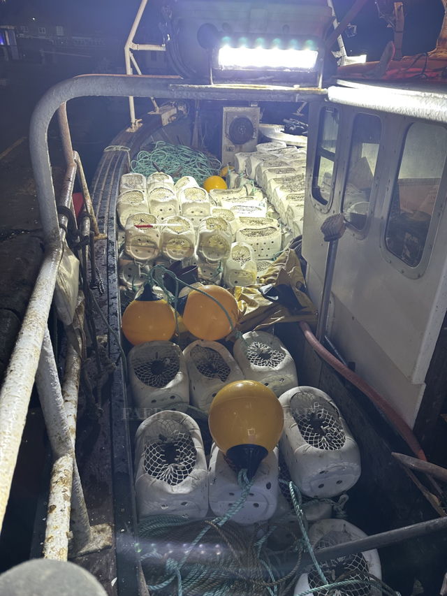 Large picture for advert 142898