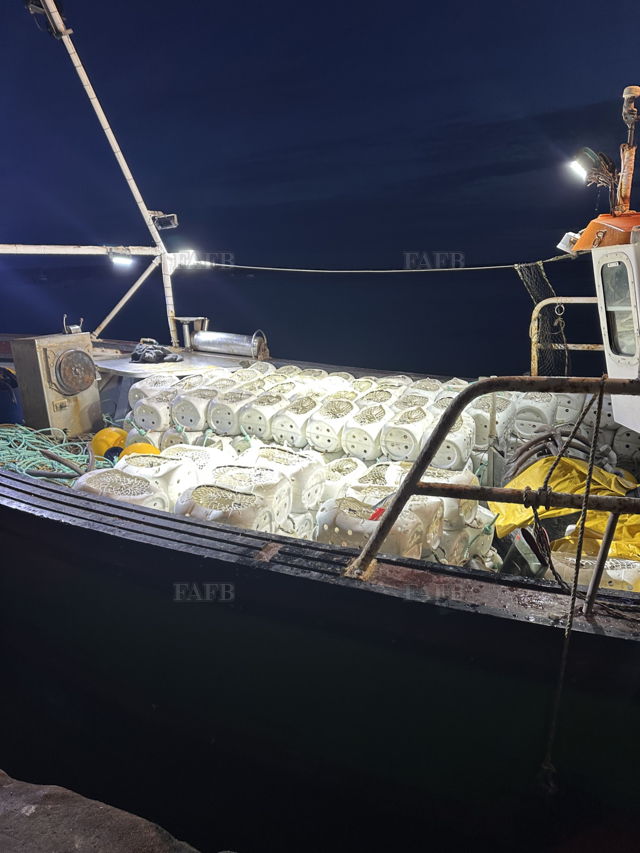 Large picture for advert 142898