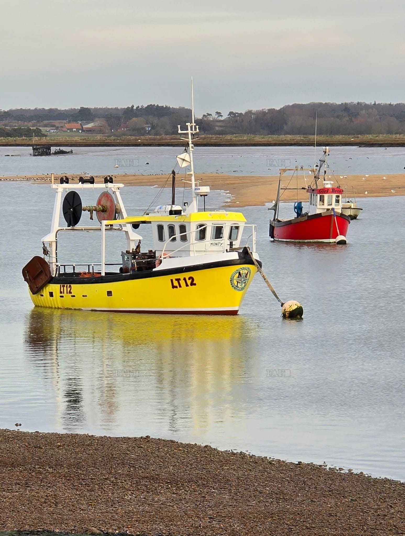Large picture for advert 139899