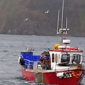 Thumbnail for picture 6