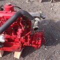 BUKH BBS48 ENGINE WITH GEARBOX - picture 2