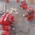 BUKH BBS48 ENGINE WITH GEARBOX - picture 4