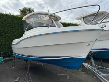 Quicksilver 530 Flamingo