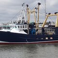 6 a side 14 mtr Scalloper, Beam Twin rig Trawler, - picture 3
