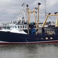 Extra picture for advert 112903