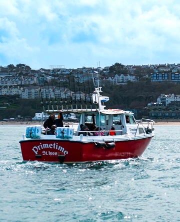 Aquastar 33