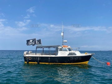 Aquastar 33