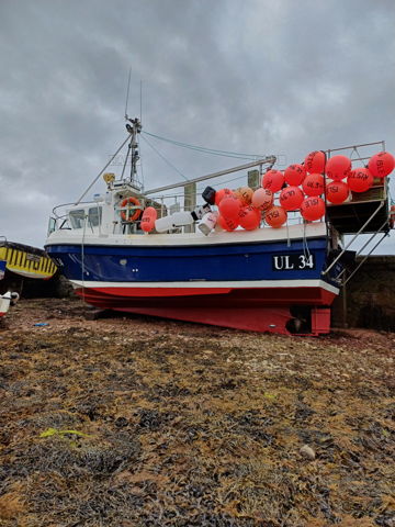Main picture for advert 146908