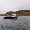 Extra picture for advert 146908