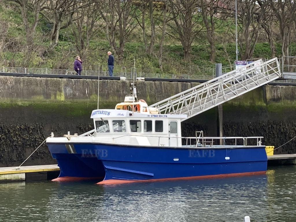 Blyth 33