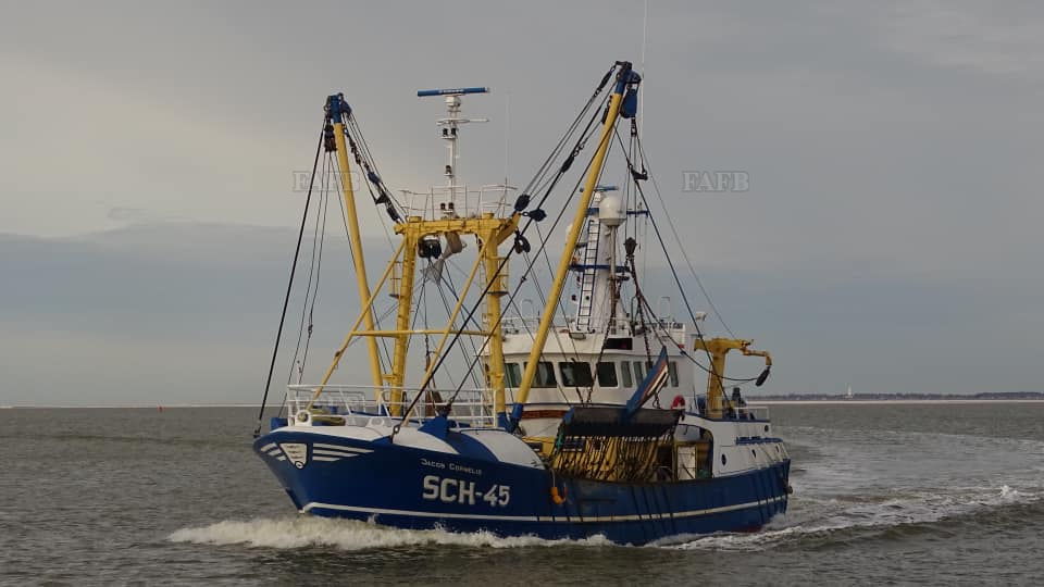 Large picture for advert 139909