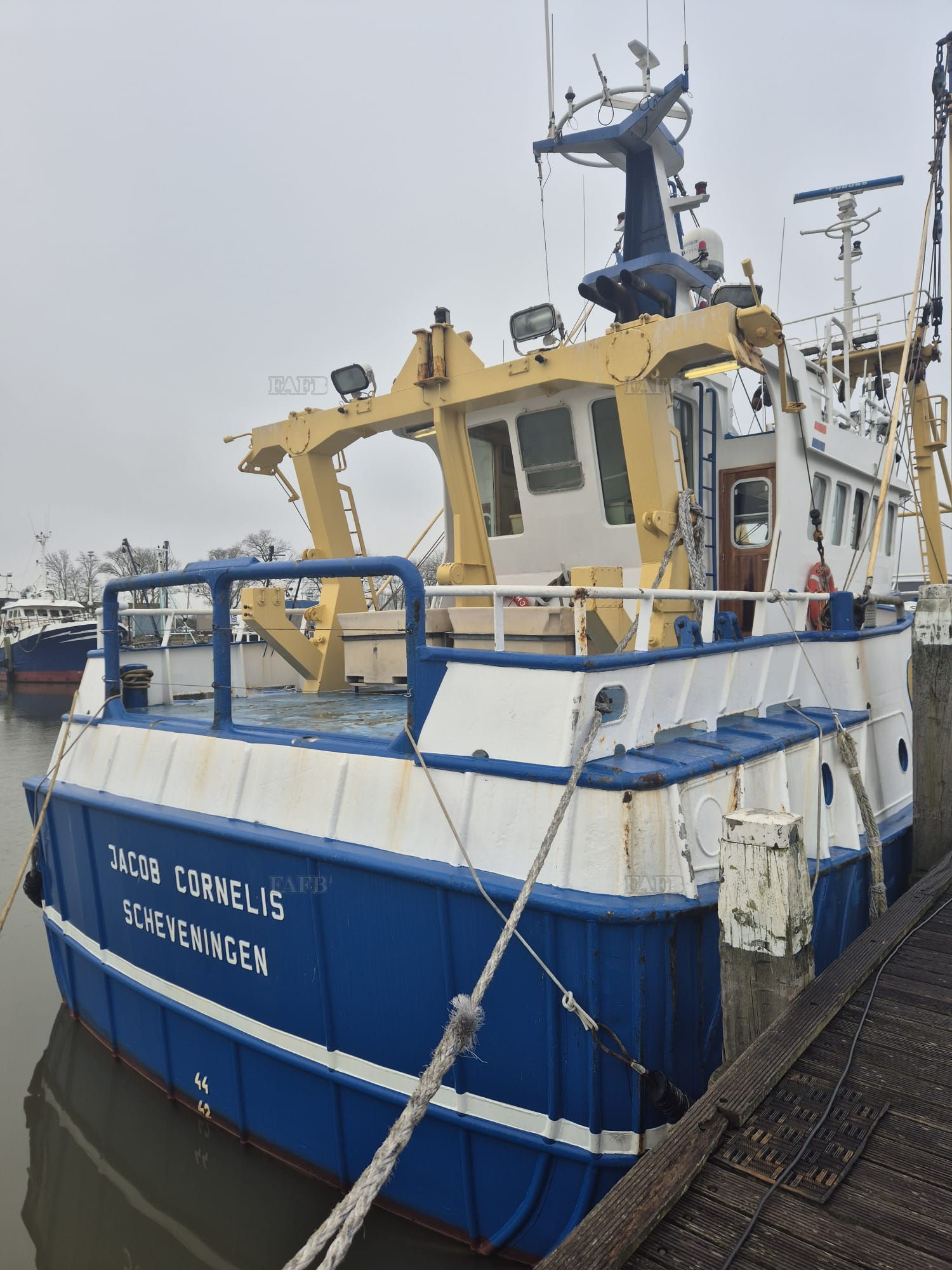 Large picture for advert 139909