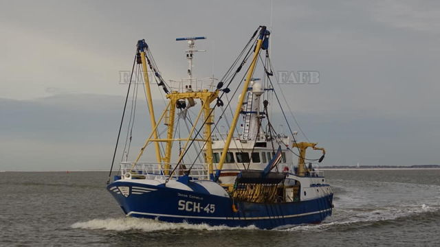 Large picture for advert 139909