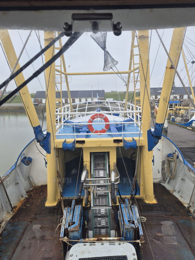 Large picture for advert 139909