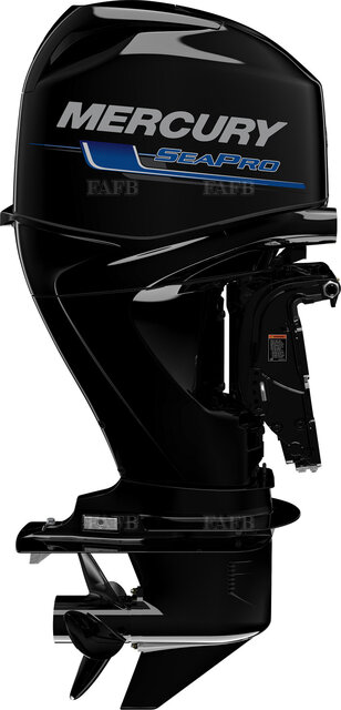 Mercury commercial 60HP Sea Pro (30hp) - picture 1