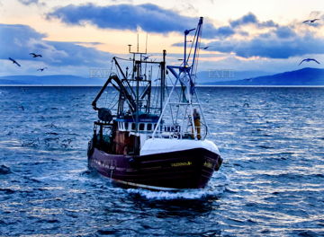Caledonia
