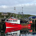 Extra picture for advert 149091