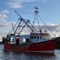 Extra picture for advert 149091