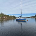 Extra picture for advert 147910