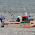 Extra picture for advert 148910