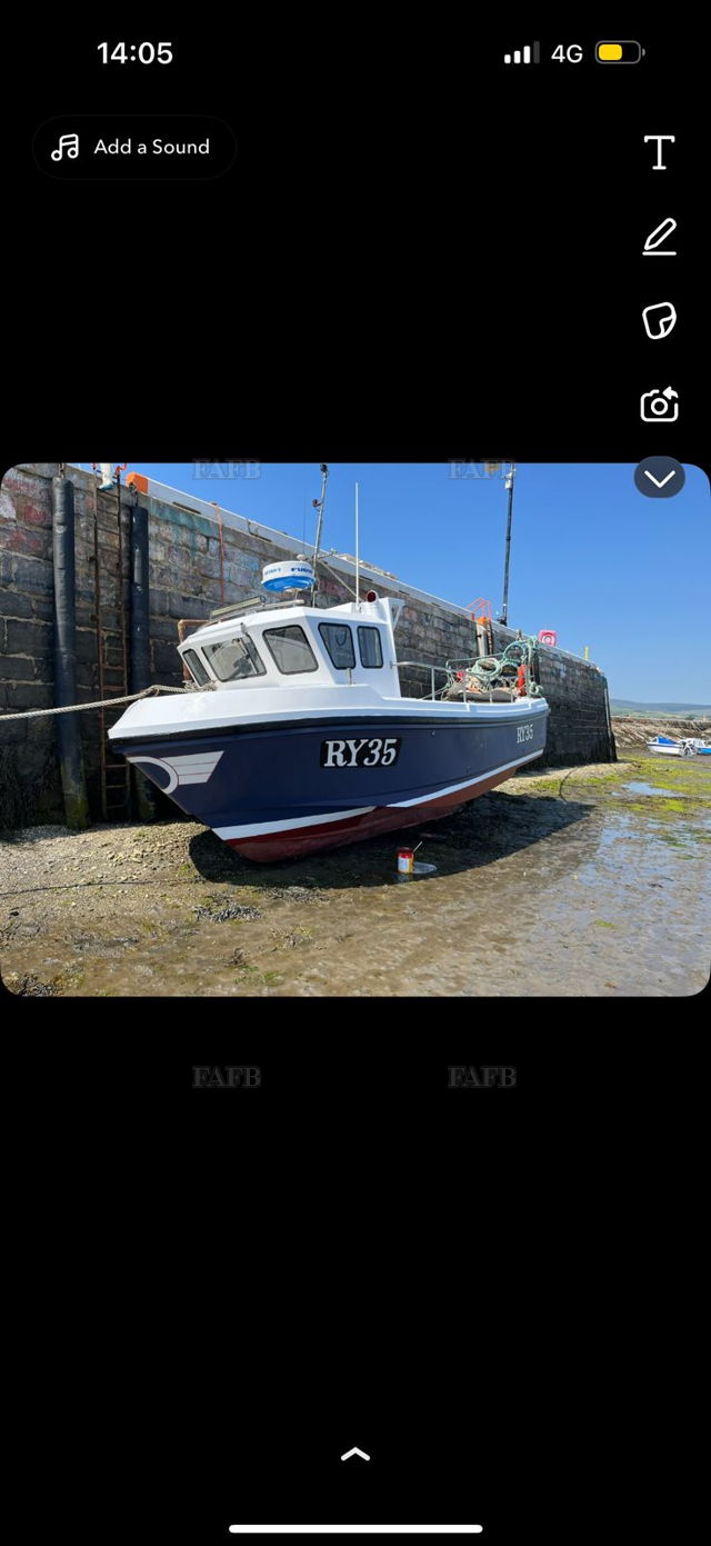 Large picture for advert 146912