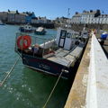 Extra picture for advert 146912