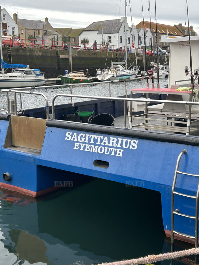 Large picture for advert 148914