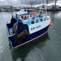 Extra picture for advert 132917