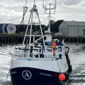 Extra picture for advert 132917