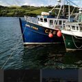 Timber trawler - picture 2