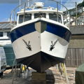 Extra picture for advert 146918