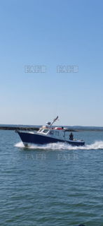 Large picture for advert 143919