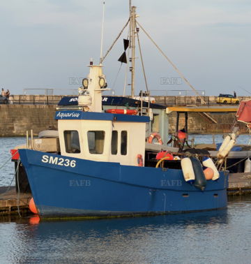 Main picture for advert 146920