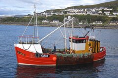 Wooden Trawler/scalloper - Primrose  - ID:110922