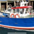 Extra picture for advert 108922