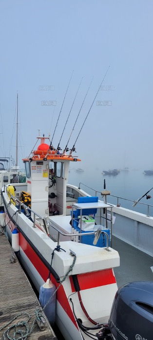 Large picture for advert 143923