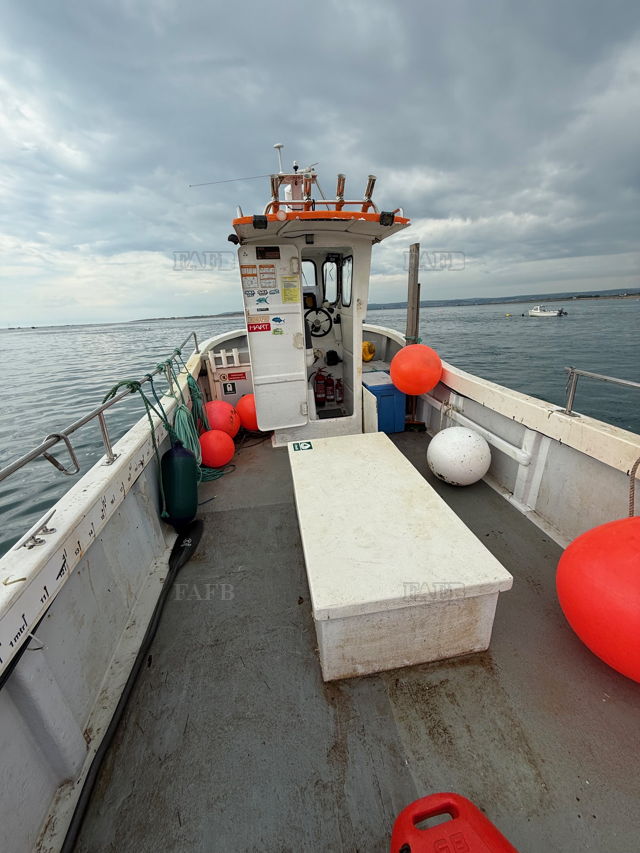 Large picture for advert 143923