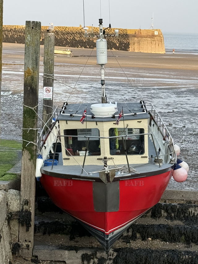 Large picture for advert 147923