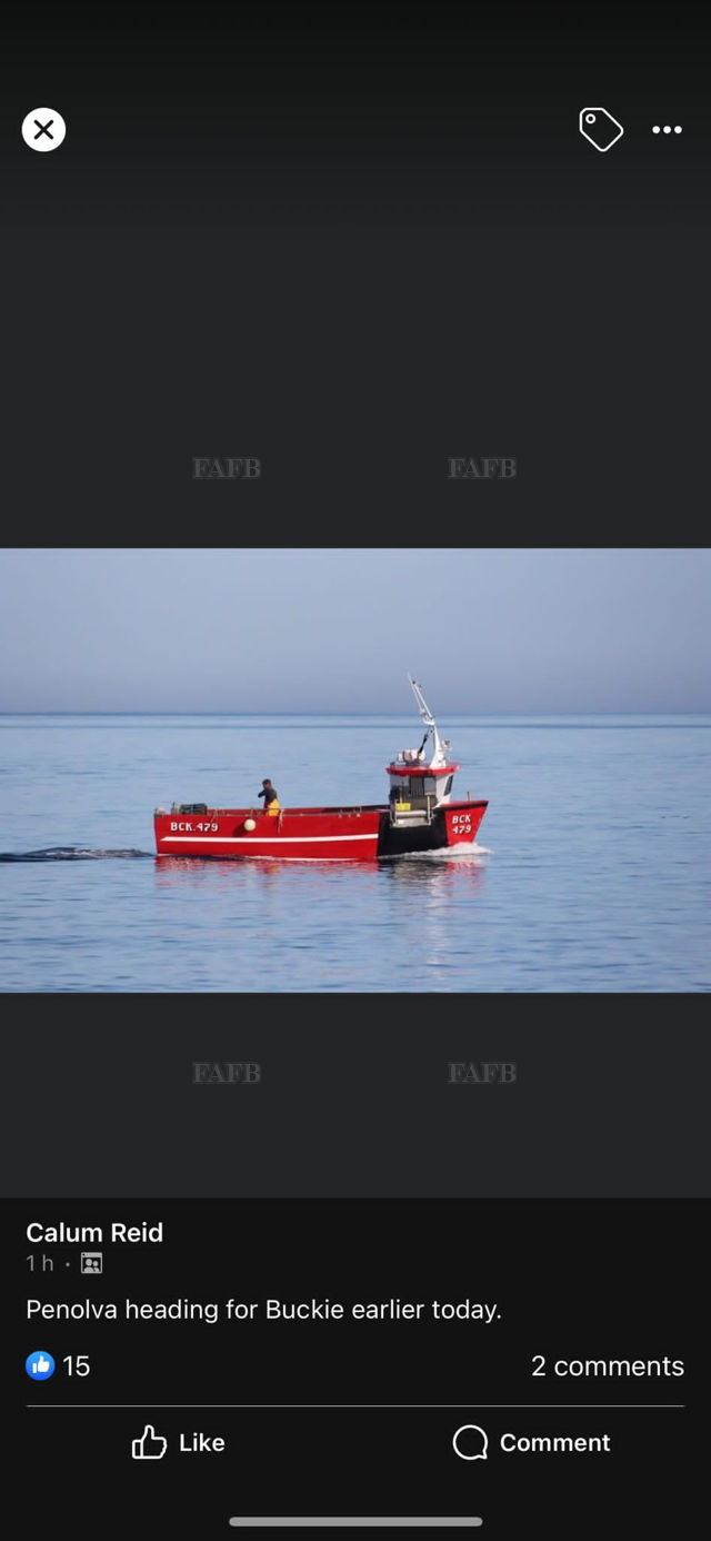 Large picture for advert 131924