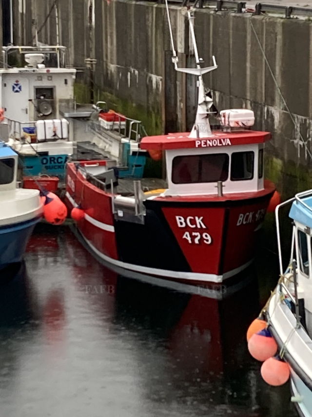 Large picture for advert 131924