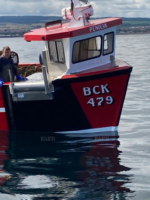 Large picture for advert 131924