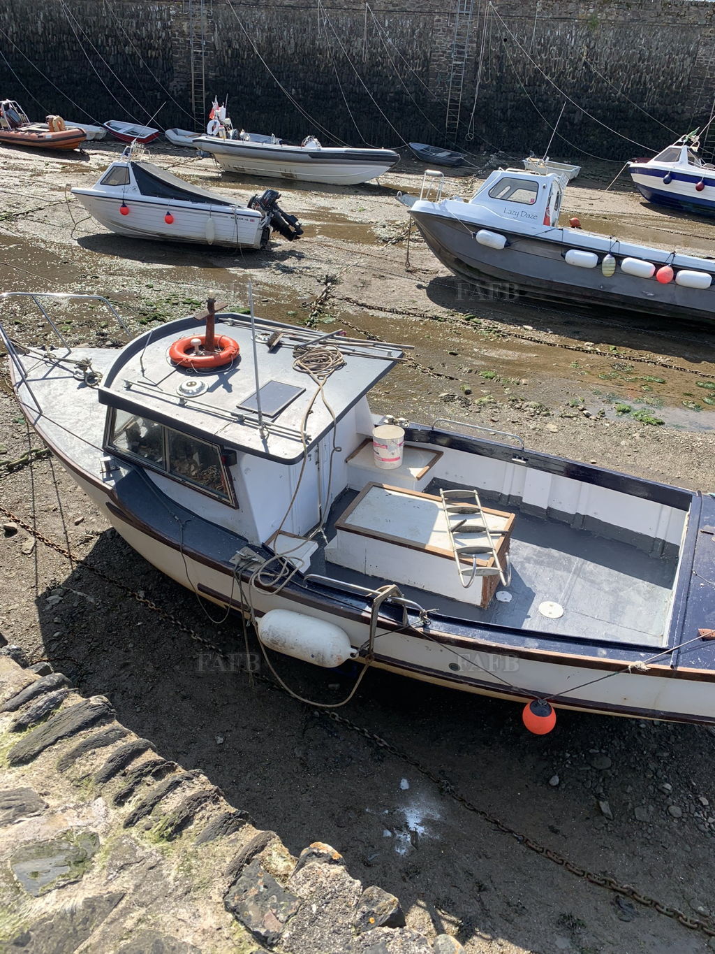 Tamar 2000