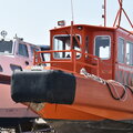 Rib - picture 7
