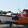 Rib - picture 6