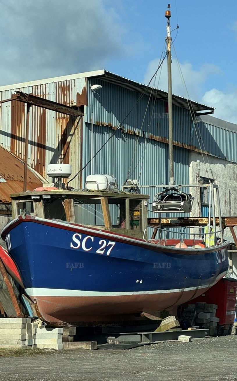 Treeve 25