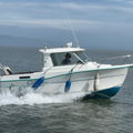 Extra picture for advert 148930