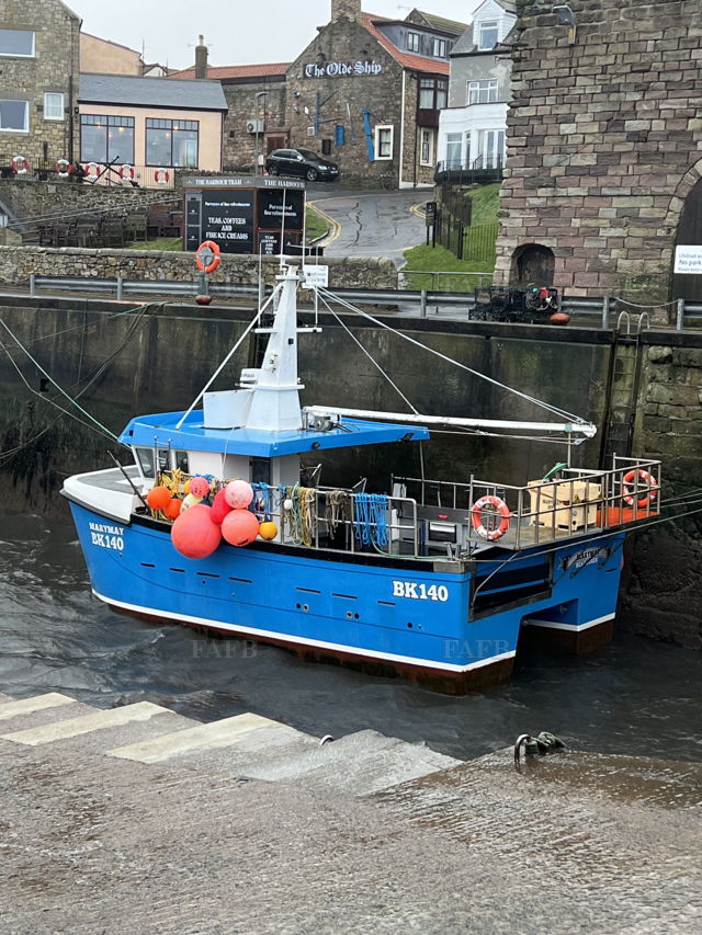 Large picture for advert 134932