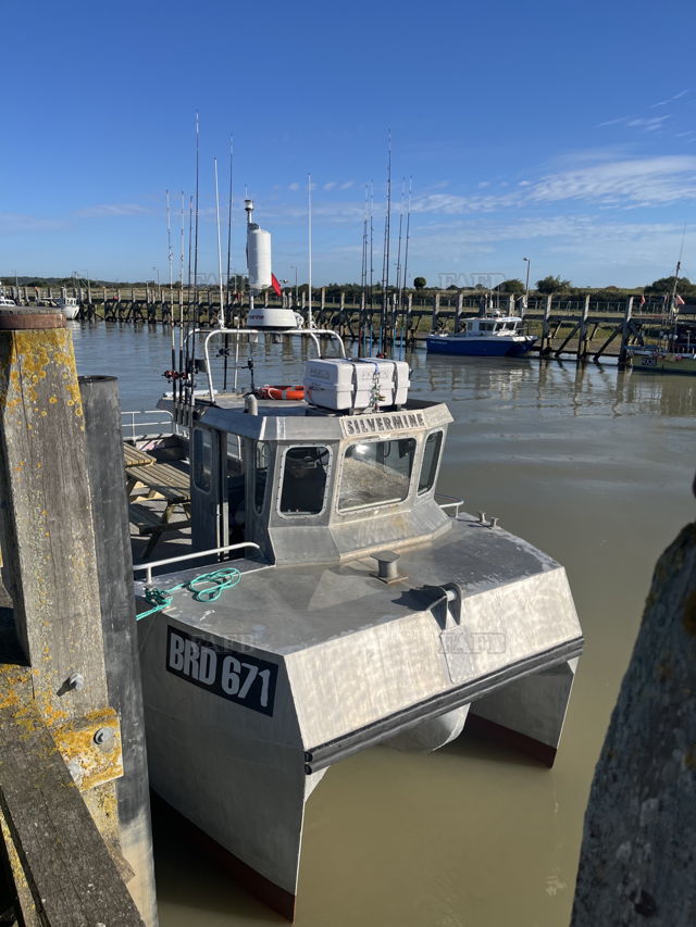 Large picture for advert 142932